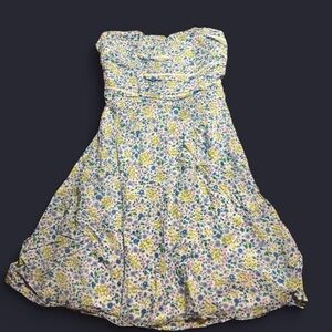 American Eagle Outfitters Blue and Green Floral Dress